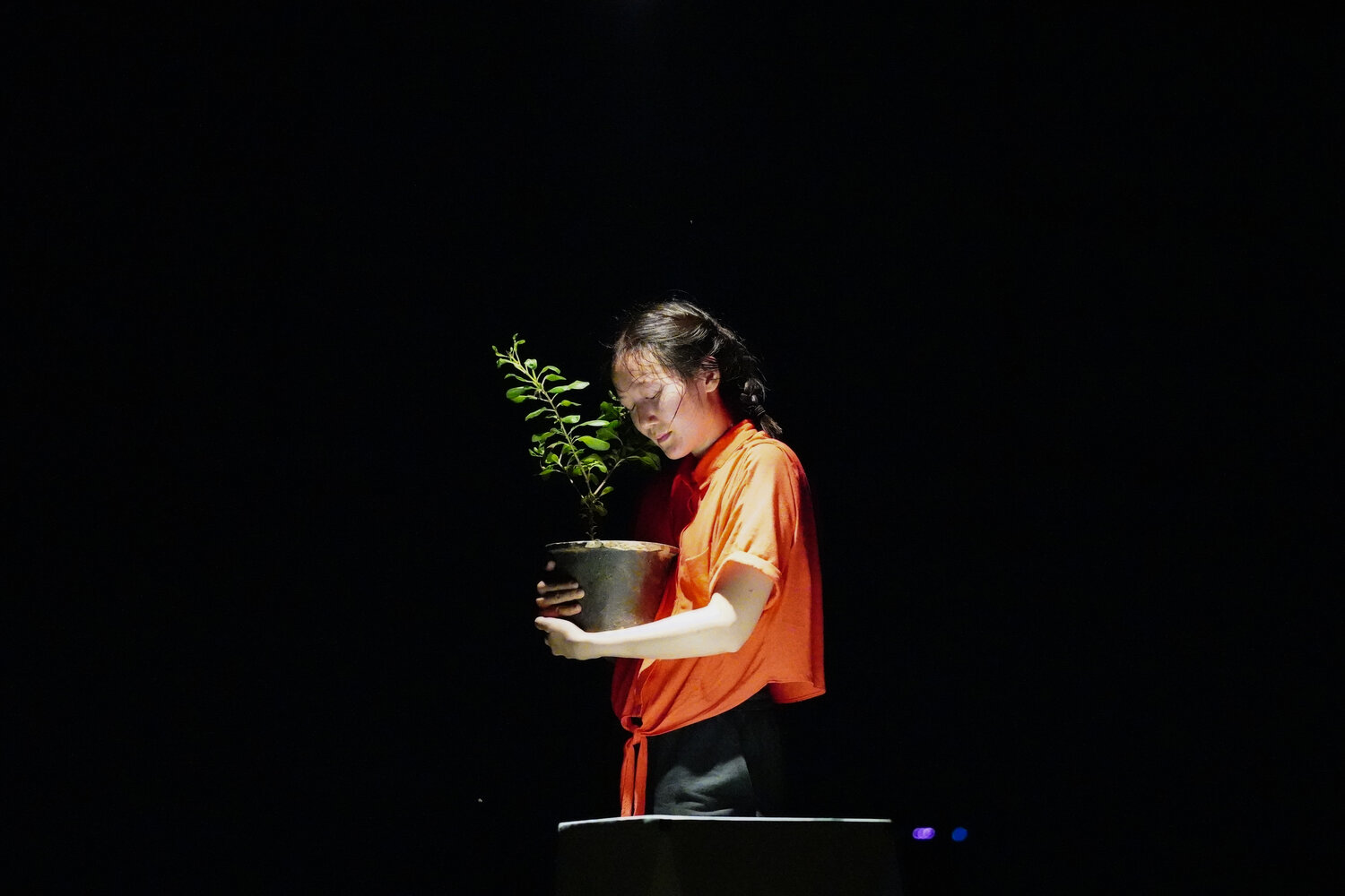 amanda ariawan